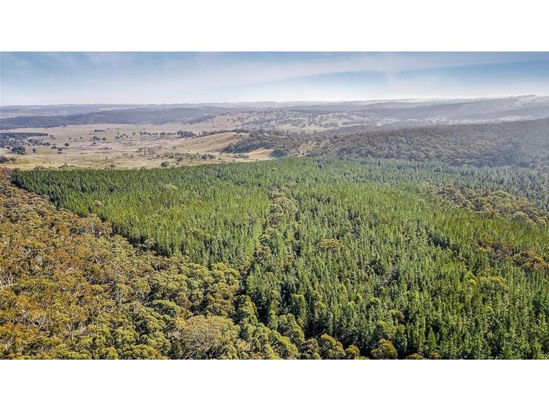 Lots 3 & 49/144 Redbank Road, Triangle Flat NSW 2795