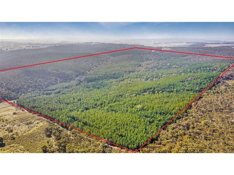 Lots 3 & 49/144 Redbank Road, Triangle Flat NSW 2795