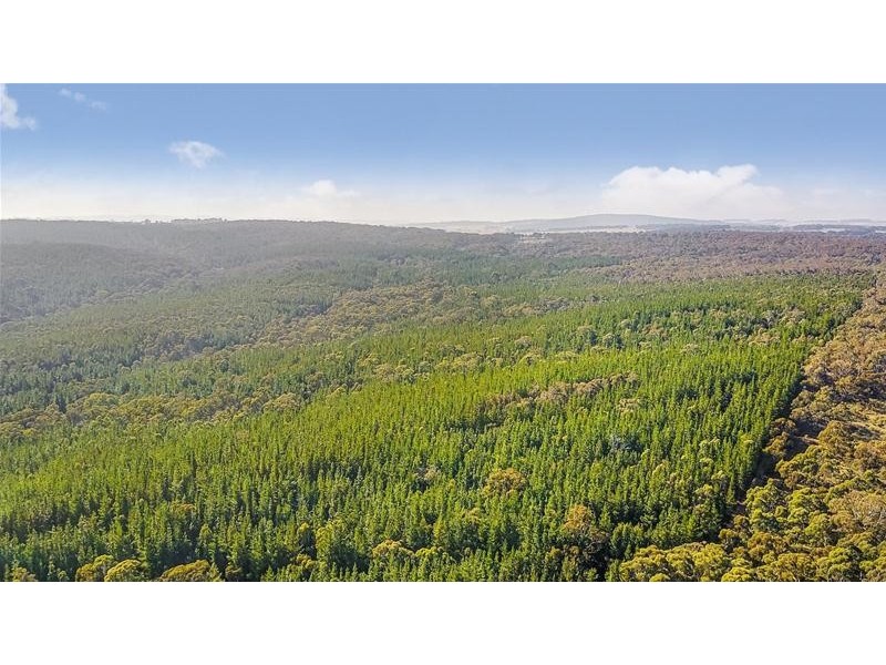 Lots 3 & 49/144 Redbank Road, Triangle Flat NSW 2795