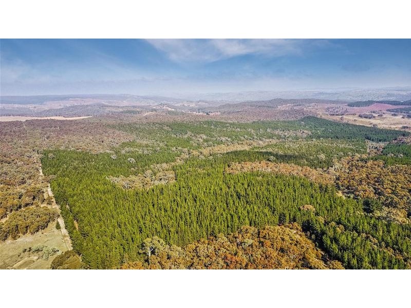 Lots 3 & 49/144 Redbank Road, Triangle Flat NSW 2795