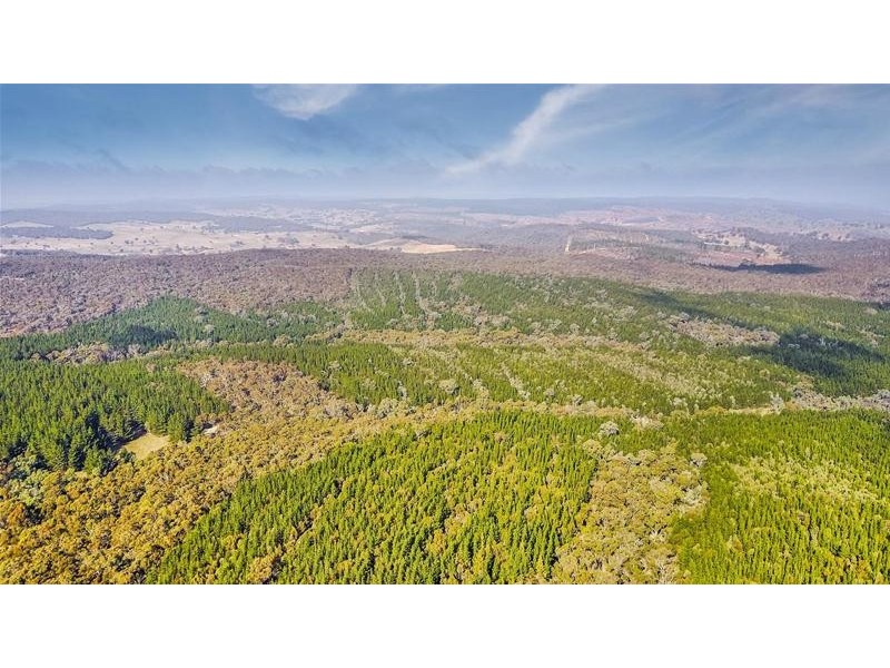 Lots 3 & 49/144 Redbank Road, Triangle Flat NSW 2795