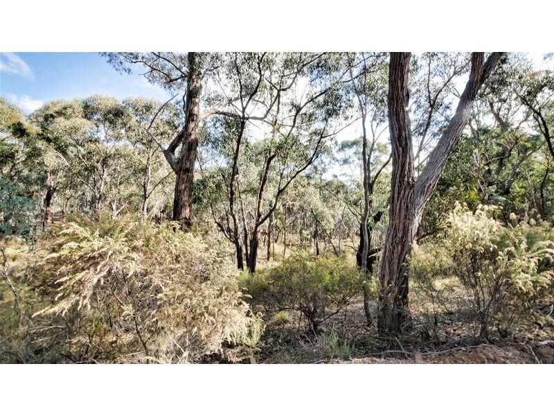 Lots 3 & 49/144 Redbank Road, Triangle Flat NSW 2795