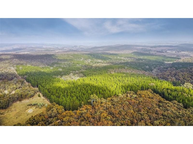 Lots 3 & 49/144 Redbank Road, Triangle Flat NSW 2795