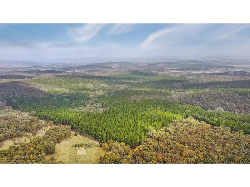 Lots 3 & 49/144 Redbank Road, Triangle Flat NSW 2795