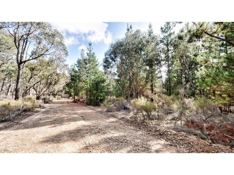 Lots 3 & 49/144 Redbank Road, Triangle Flat NSW 2795