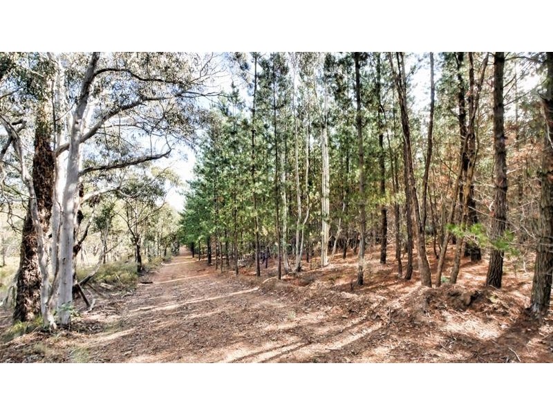 Lots 3 & 49/144 Redbank Road, Triangle Flat NSW 2795