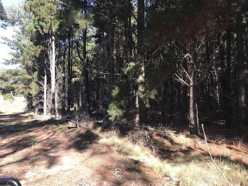 Lots 3 & 49/144 Redbank Road, Triangle Flat NSW 2795