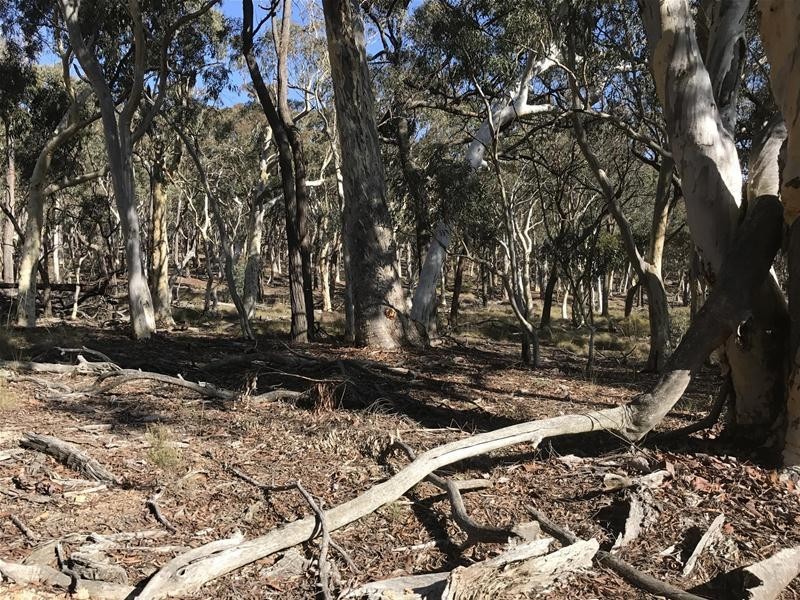 Lots 3 & 49/144 Redbank Road, Triangle Flat NSW 2795