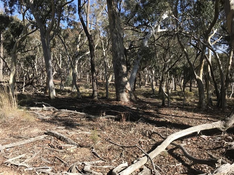 Lots 3 & 49/144 Redbank Road, Triangle Flat NSW 2795