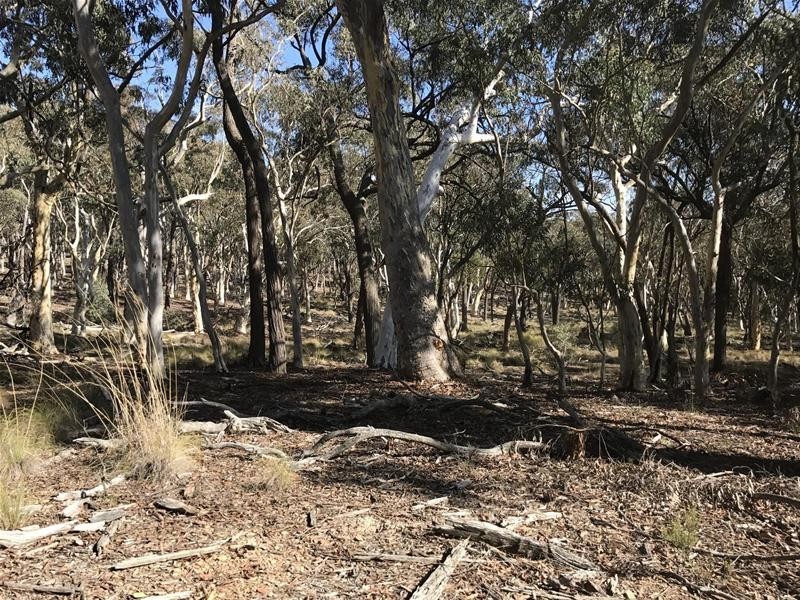 Lots 3 & 49/144 Redbank Road, Triangle Flat NSW 2795