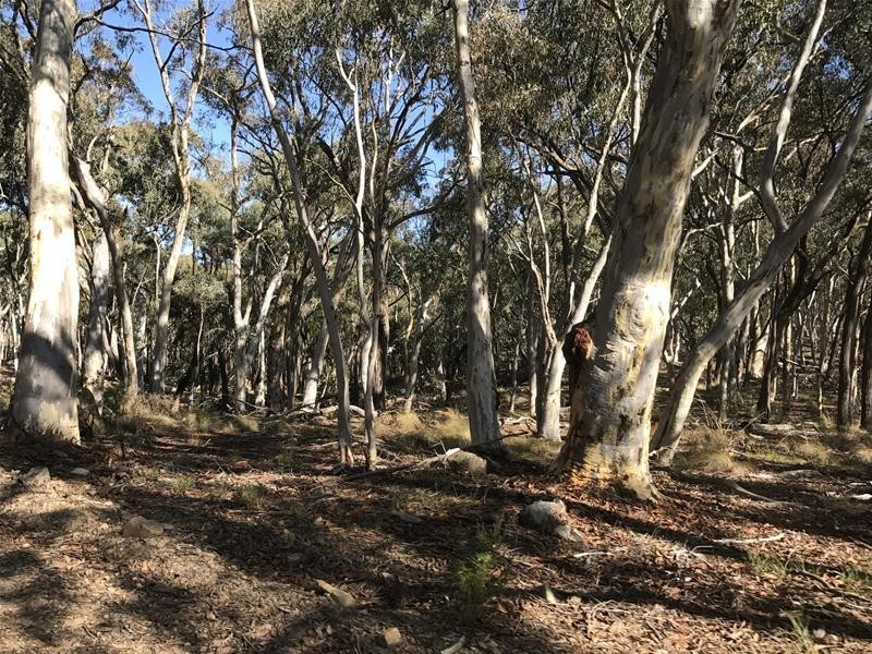 Lots 3 & 49/144 Redbank Road, Triangle Flat NSW 2795