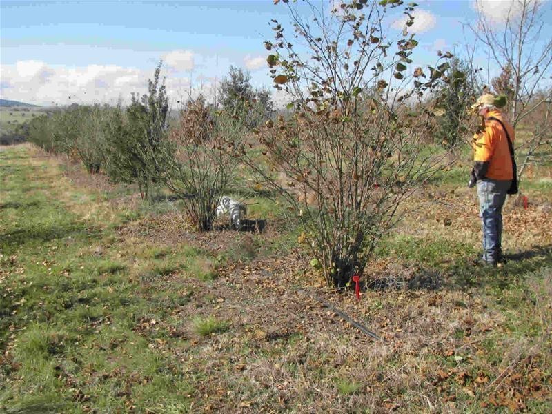 O’connell NSW 2795