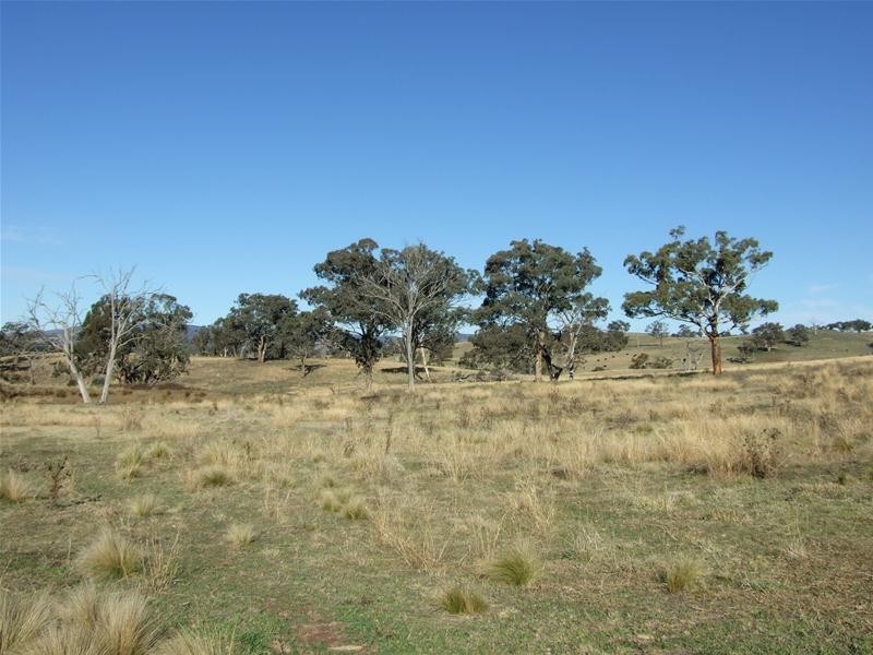 O’connell NSW 2795