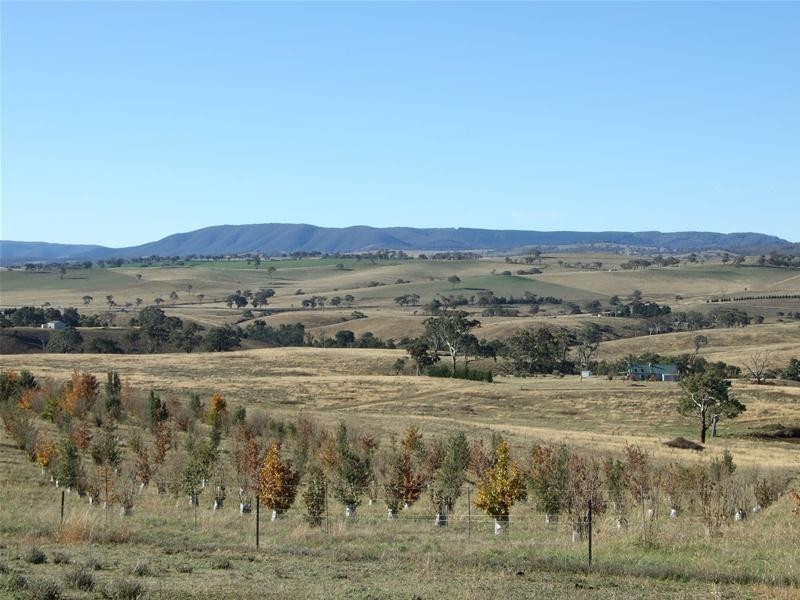 O’connell NSW 2795