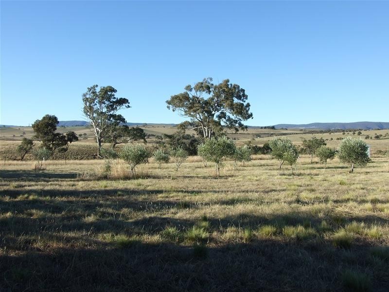 O’connell NSW 2795