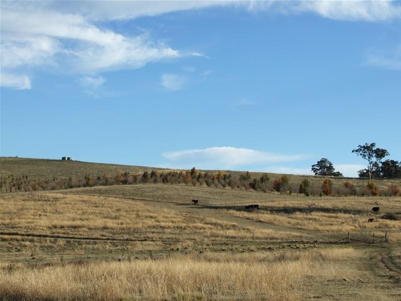 O’connell NSW 2795