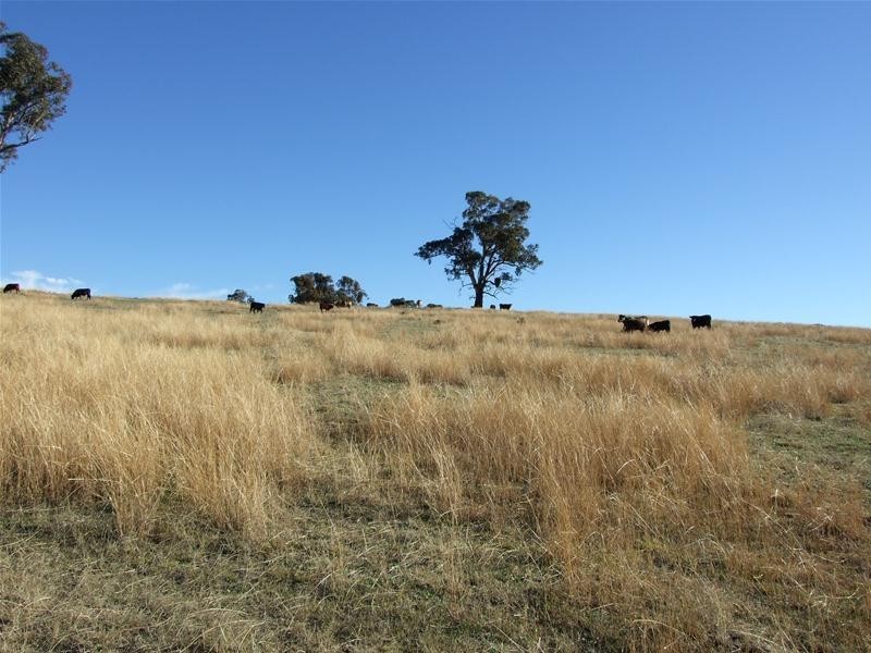 O’connell NSW 2795