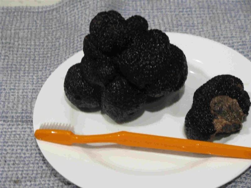 O’connell NSW 2795