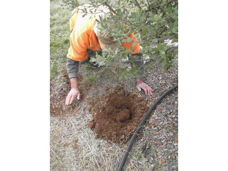 O’connell NSW 2795