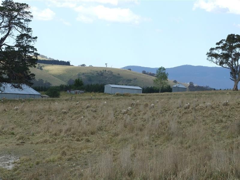 80 Wilson Drive, Oberon NSW 2787