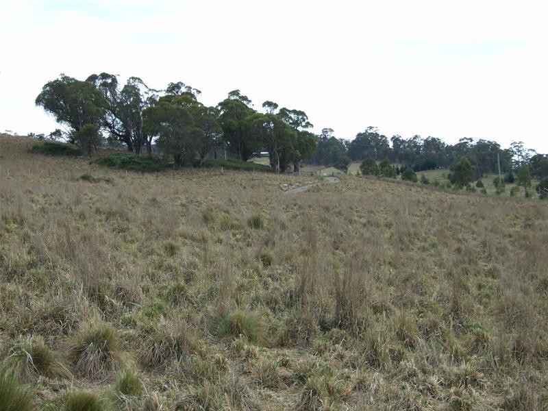 80 Wilson Drive, Oberon NSW 2787