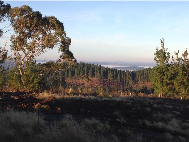 3521 Arkstone Road, Oberon NSW 2787