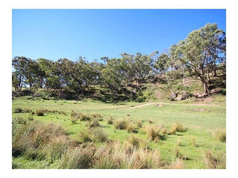 397 Dreves Road, Oberon NSW 2787