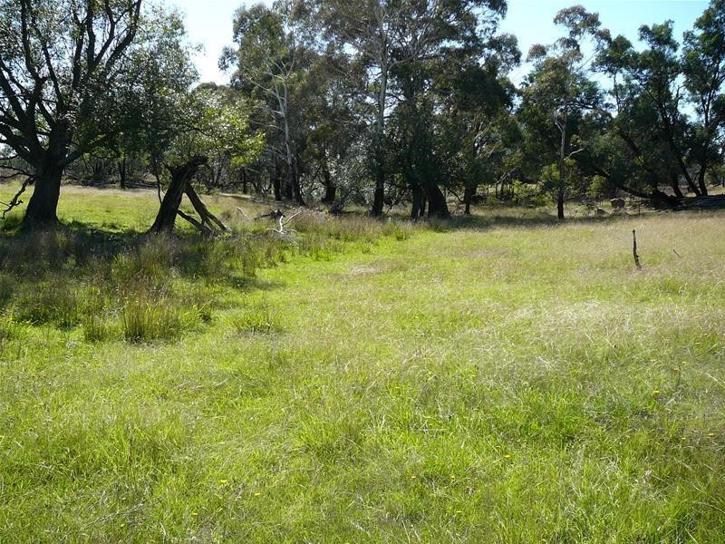 308 Anarel Road, Oberon NSW 2787