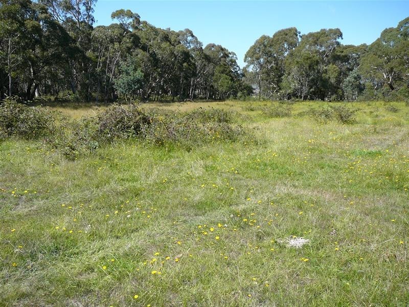 308 Anarel Road, Oberon NSW 2787