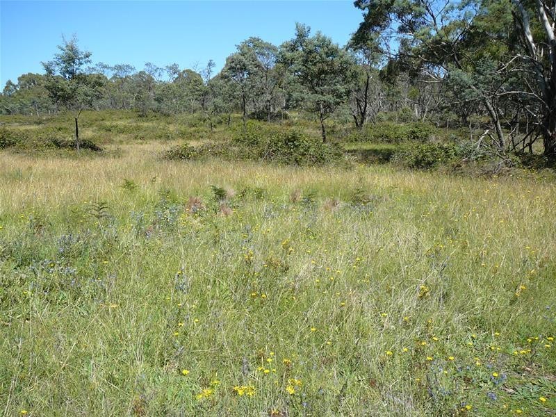 308 Anarel Road, Oberon NSW 2787