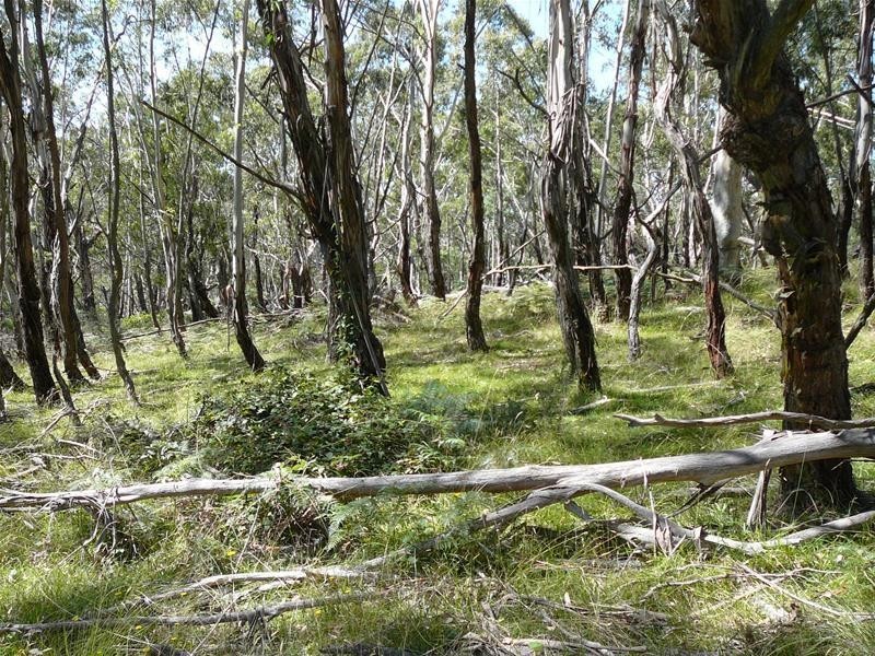 308 Anarel Road, Oberon NSW 2787