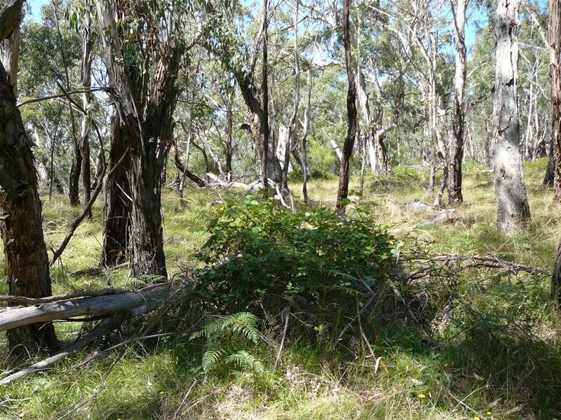 308 Anarel Road, Oberon NSW 2787