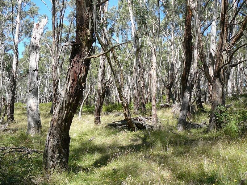 308 Anarel Road, Oberon NSW 2787