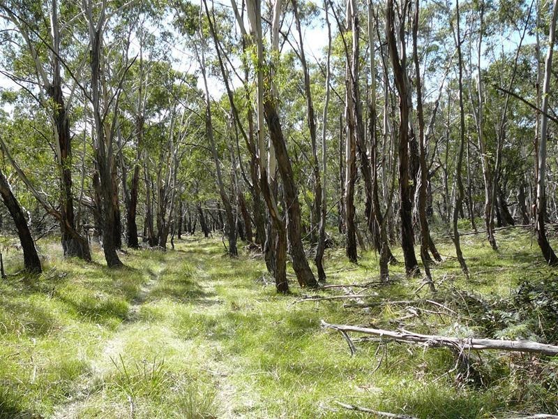 308 Anarel Road, Oberon NSW 2787