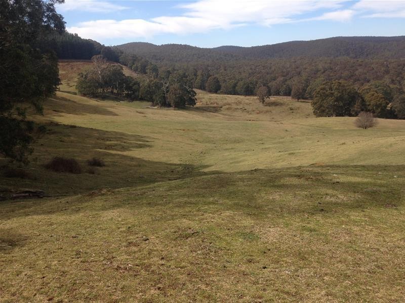 41 Edith Road, Oberon NSW 2787