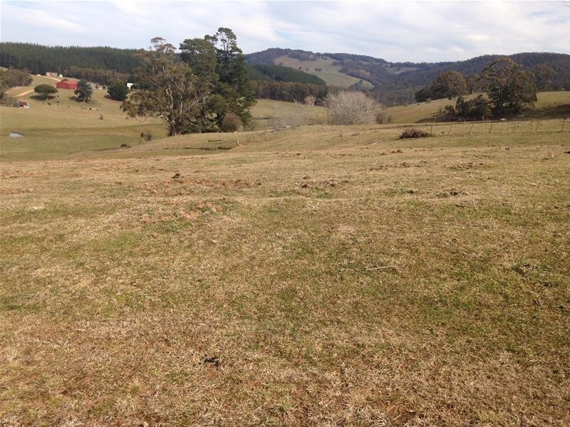 41 Edith Road, Oberon NSW 2787