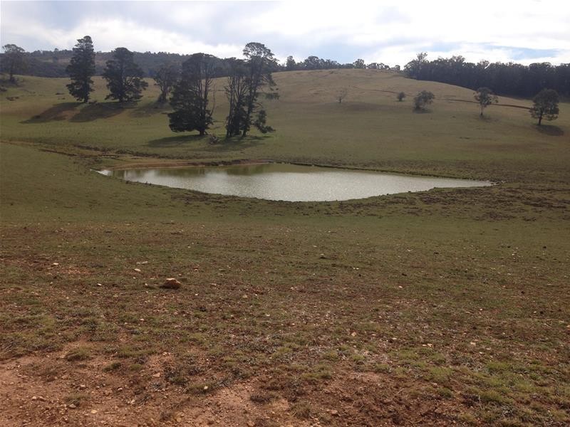 41 Edith Road, Oberon NSW 2787