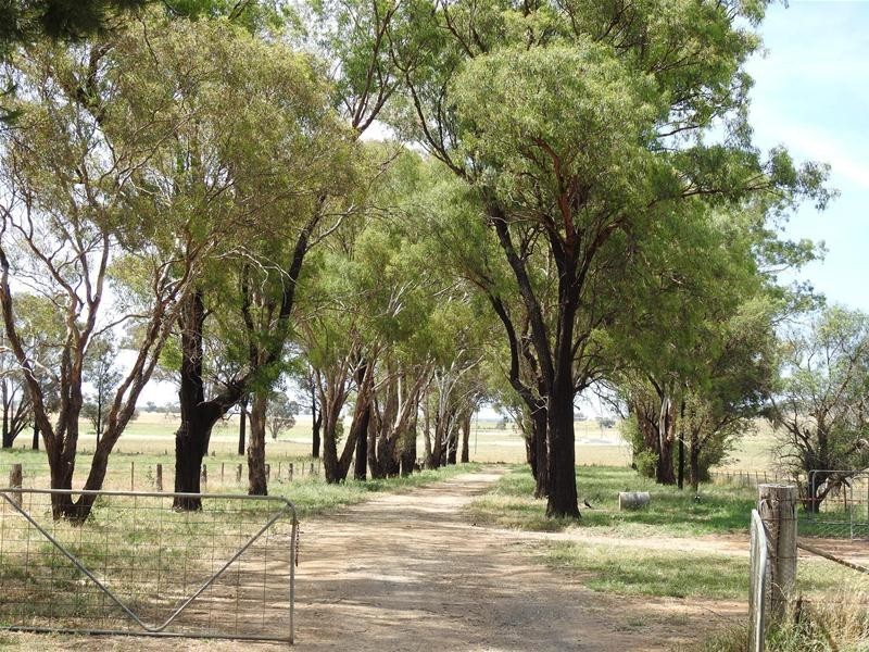 353 Yellow Box Road, Manildra NSW 2865