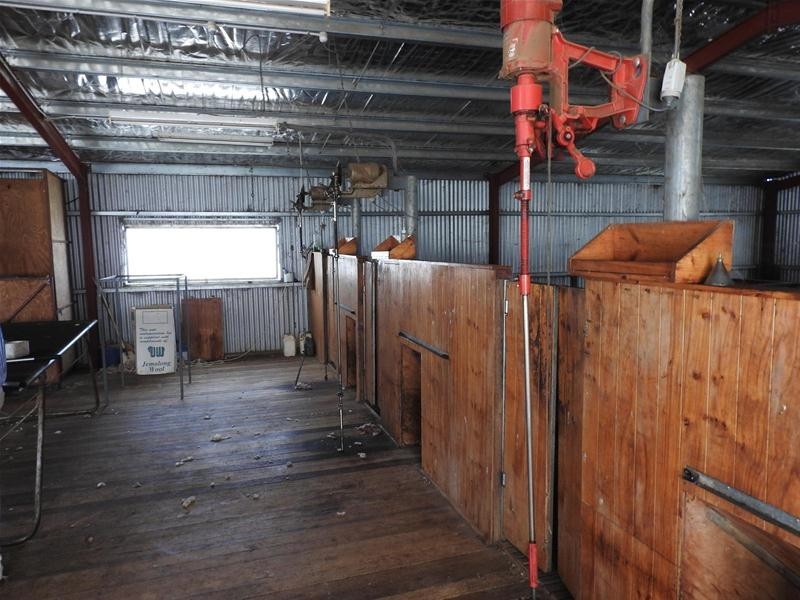 353 Yellow Box Road, Manildra NSW 2865