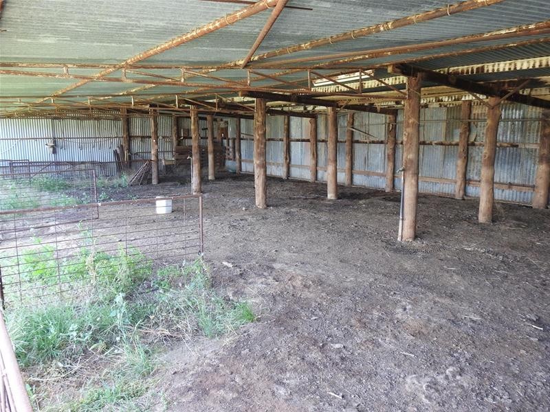 353 Yellow Box Road, Manildra NSW 2865