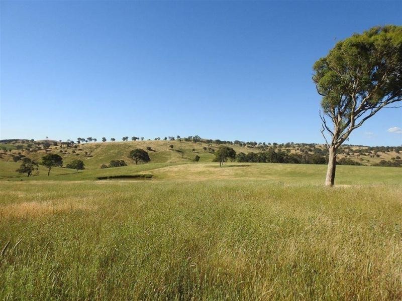 1292 Rockley Road, Fosters Valley NSW 2795