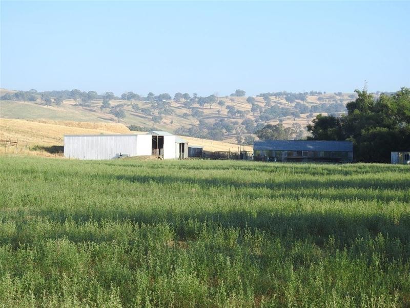 1292 Rockley Road, Fosters Valley NSW 2795