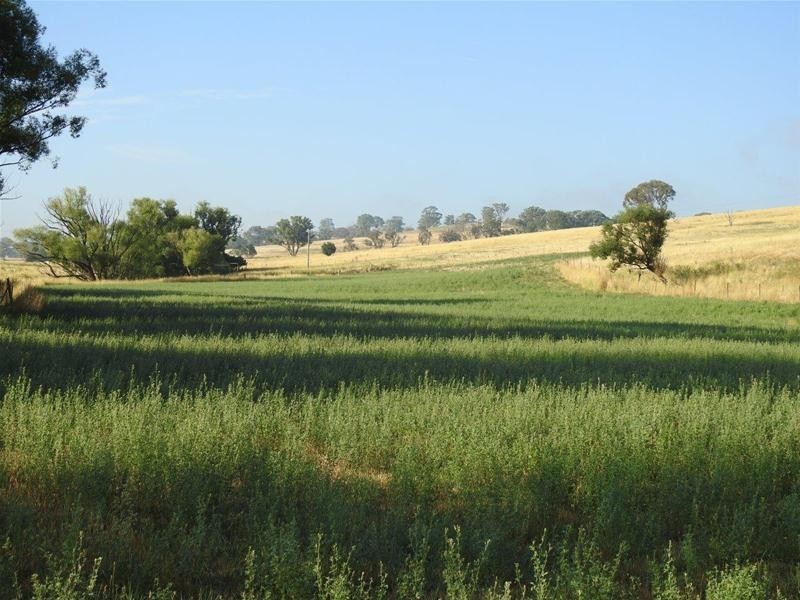 1292 Rockley Road, Fosters Valley NSW 2795