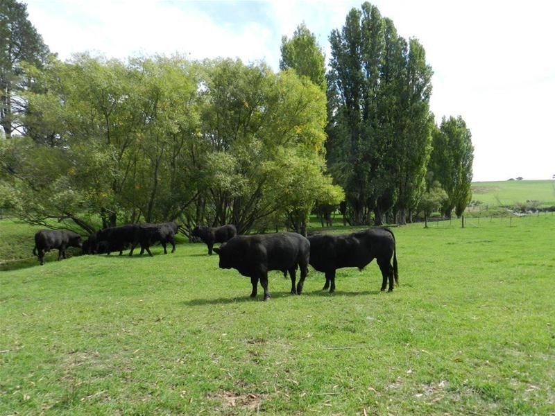 1292 Rockley Road, Fosters Valley NSW 2795