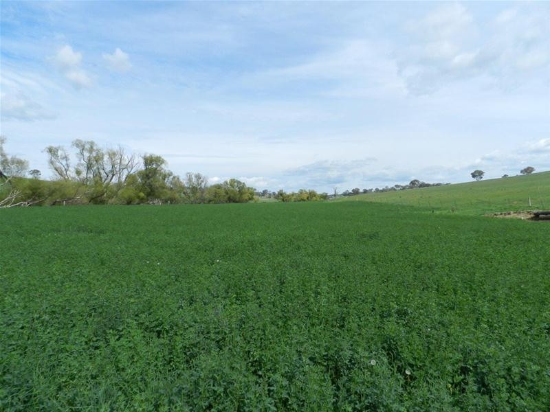 1292 Rockley Road, Fosters Valley NSW 2795