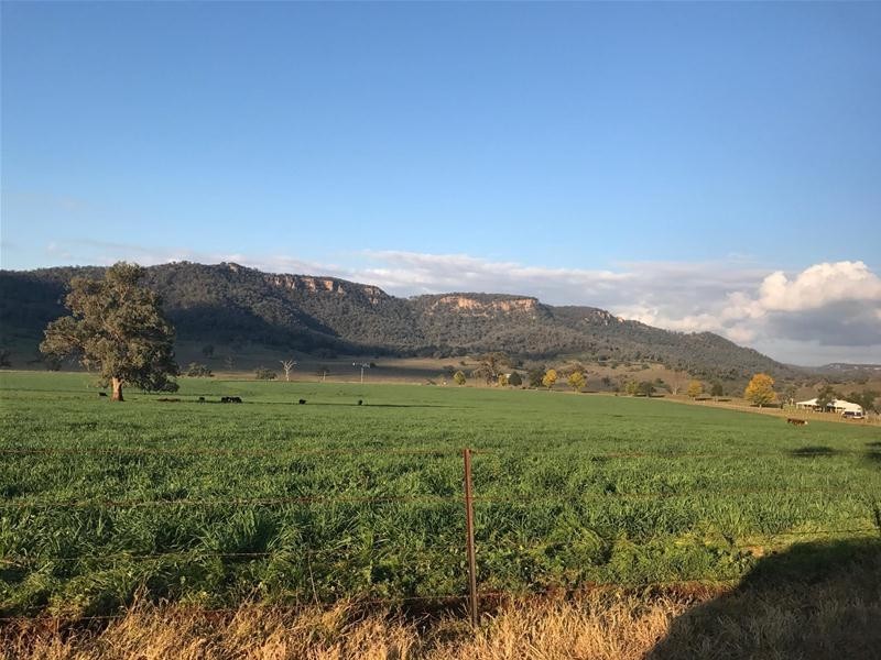 6749 Bylong Valley Way, Rylstone NSW 2849