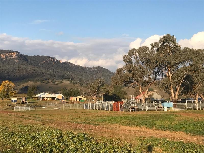6749 Bylong Valley Way, Rylstone NSW 2849