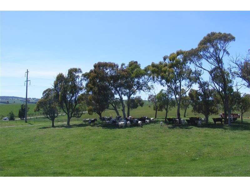 10 Spring Valley Road, Oberon NSW 2787