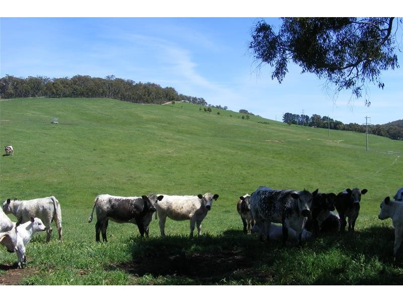 10 Spring Valley Road, Oberon NSW 2787