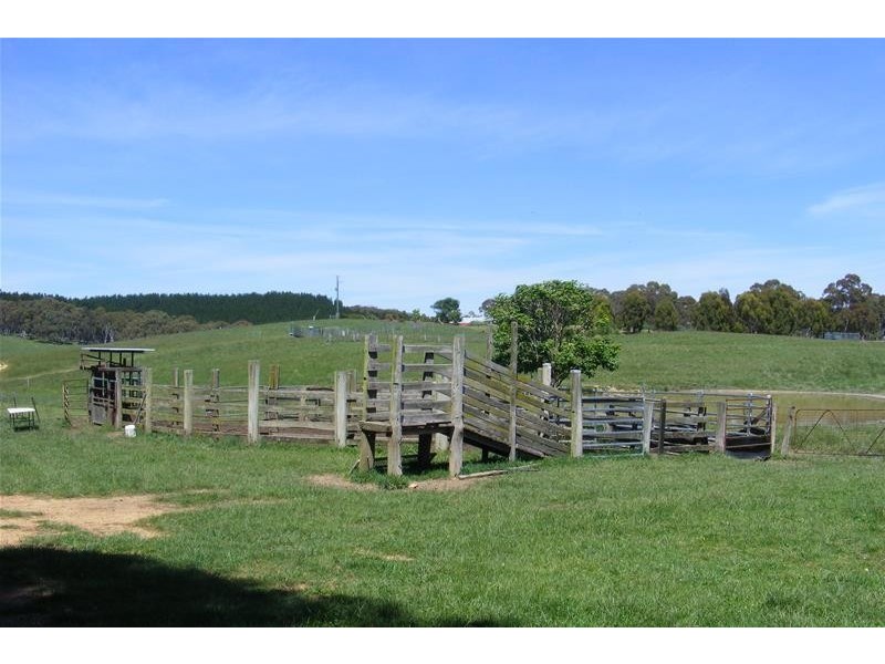 10 Spring Valley Road, Oberon NSW 2787